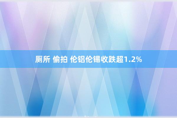 厕所 偷拍 伦铝伦锡收跌超1.2%