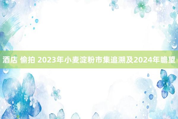 酒店 偷拍 2023年小麦淀粉市集追溯及2024年瞻望