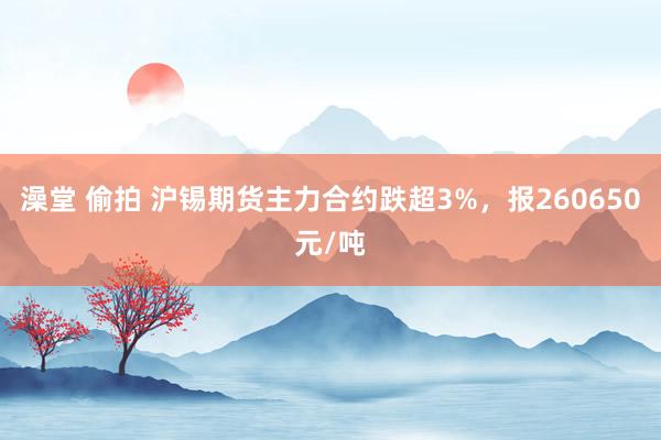 澡堂 偷拍 沪锡期货主力合约跌超3%，报260650元/吨