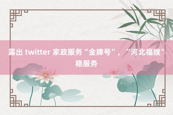 露出 twitter 家政服务“金牌号”，“河北福嫂”稳服务