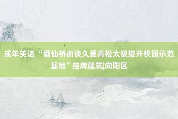 成年笑话 “酒仙桥街谈久爱青松太极绽开校园示范基地”挂牌建筑|向阳区