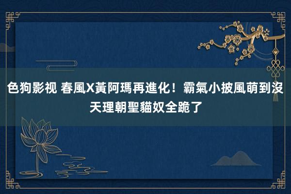 色狗影视 春風X黃阿瑪再進化！霸氣小披風萌到沒天理　朝聖貓奴全跪了